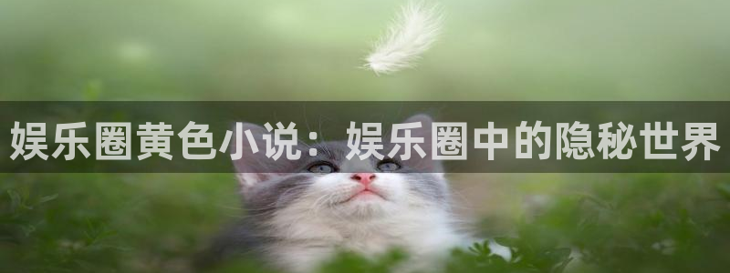 美狮贵宾会官网：娱乐圈黄色小说：娱乐圈中的隐秘世界