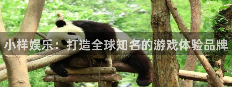 美狮贵宾会ms092021：小样娱乐：打造全球知名的游戏体验品牌